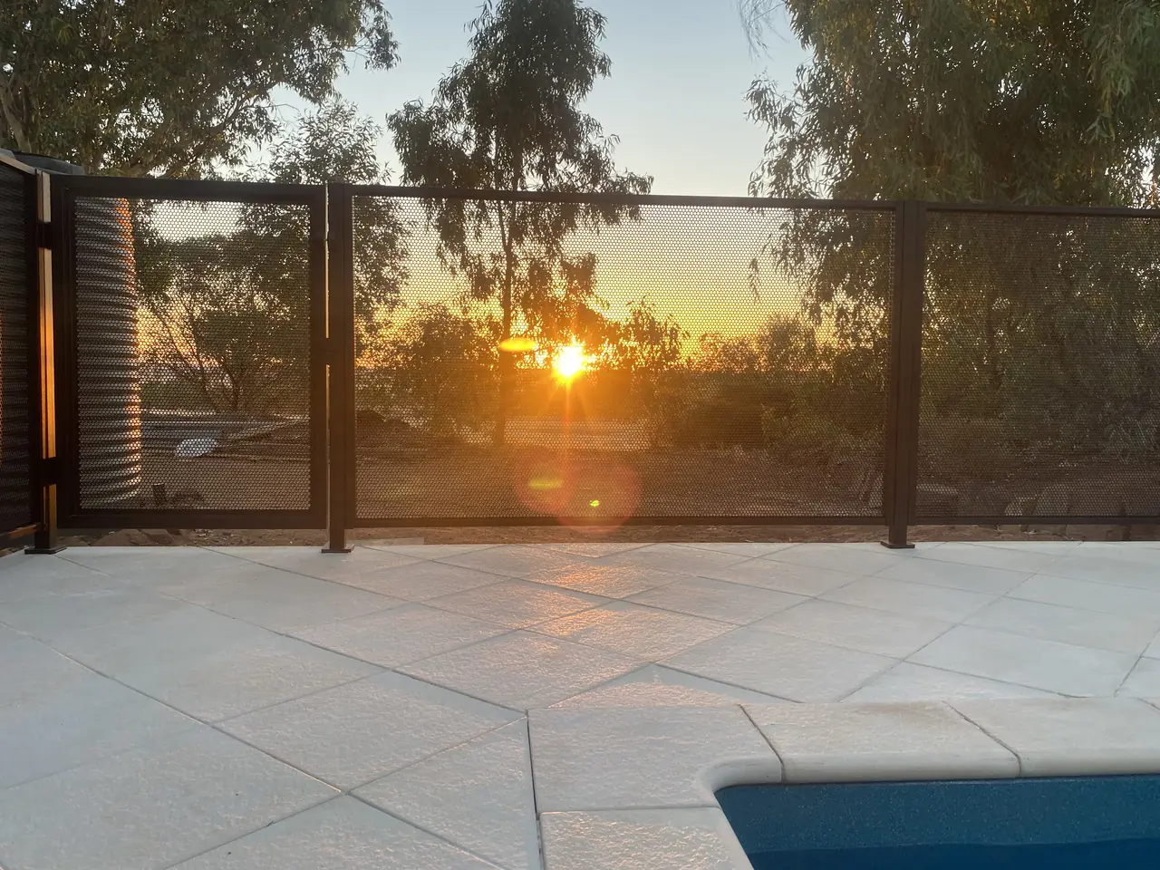 The sun setting straight through a black PoolPerf PurePerf fence and gate beside a pool, with the gum trees behind clearly visible through the panels